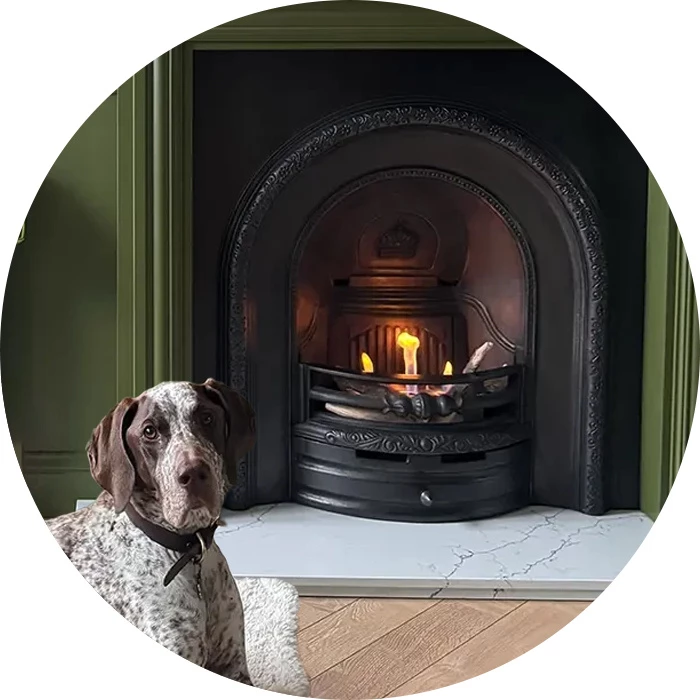 Bioethanol fire conversion