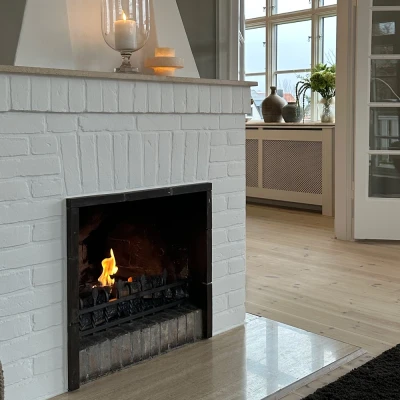 Bio Fireplace Insert for Existing Fireplace or Hearth Bio Fireplace Insert for Existing Fireplace or Hearth